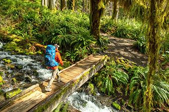 Hiking over bridge in Hoh Rainforest (Osprey Aether backpacking pack)
